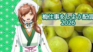 【＃新人Vtuber】第6回#料理配信　～毎年恒例！梅仕事　梅みそ作ろう～
