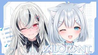 【VALORANT】可愛い子と頑張ります！　w/夜凪ましろ　#新人Vtuber　#個人Vtuber　#ゲーム配信