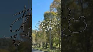 撮ってみたかった #vlog 🤍 #vtuber #新人vtuber #個人vtuber