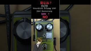 2026 04 11 限定品！？#DOD  Overdrive Preamp 250 50th Anniversary　『準備中』　七原要冬 #新人vtuber #エフェクターレビュー