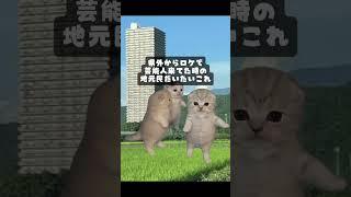 某🍉バイク旅とか特に好き　#山形県  #山形　#cat #猫　#shorts