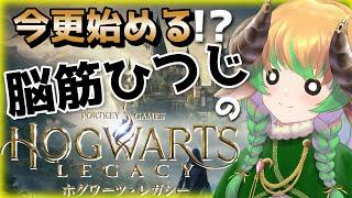 【#ホグワーツレガシー 】今更始める脳筋ひつじのホグワーツレガシー　№5　＃VTuber #初見歓迎　ケモVtuber／ハリーポッター