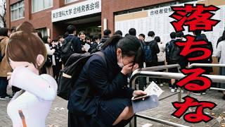 【大学院試験】院試に落ちたらどうなる？その後の進路について解説します