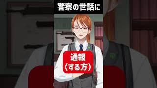 全部被害者としてです #shorts #警察 #vtuber