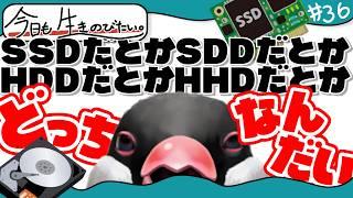 HDDだかHHDだかSDDだかSSDだか、ややこしいんだヨォ！【バーチャル文鳥おかもとの今日も生きのびたい 】#36