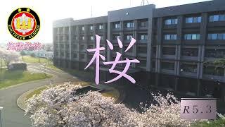 施設学校　【桜】
