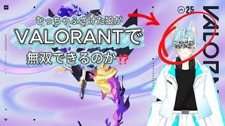 夜勤明けハイVALORANT【雑談/初見さん歓迎/参加型〇】