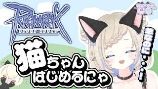 【ラグナロクオンライン】猫ちゃんつくるよ！【B鯖】#新人vtuber