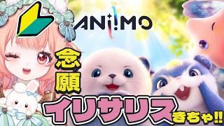 【アニモ】イリサリスきちゃ(*'ω'*)ちょっとだけ朝活【初心者】#おはようVtuber