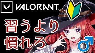 【#VALORANT】初めてのVALO!!【#新人vtuber/#バ美肉】