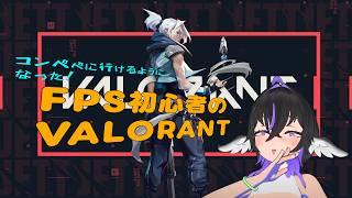 【 #valorant  】　VALO熱が高いのでやっていく！コンペぺを回す？　FPS初心者のヴァロラント　#vtuber