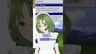 Notepad++ my beloved | #meganemidori on #Twitch