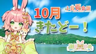 注：酔ってます【小豆兎会議🌟】月初め　2026/10/1【#ご当地VTuber #VTuber #雑談】