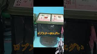 釣り堀Vlog #看護師 #休日vlog