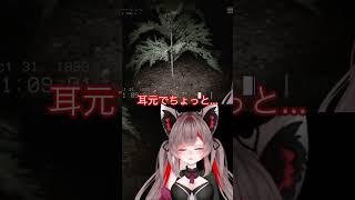 ホラー耐性ある新人Vtuber【don'tscream】