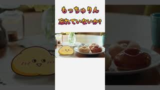 もはや忘れ去られたもっちゅりん　#shorts