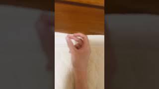 【⚠️リアル注意】流行りのやつやってみた