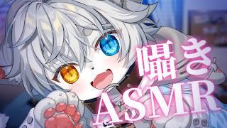 【ASMR】０距離ご奉仕！ケモショタがみんなのお耳を癒したい【Vtuber】