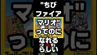 「ちびファイアマリオってのになれる」ってほんマニィ？