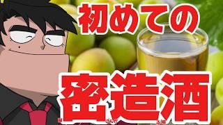 梅仕事始めました　 #雑談配信  #vtuber