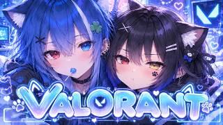 （VALORANT）初見さん大歓迎！まったりランク！ 良かったらゆっくりしてってにゃん🐈👑