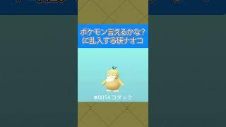 ポケモン言えるかな？に乱入する研ナオコ