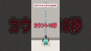 カウントピッタリに止めるゲームは得意らしいです。 #マイクラ #shorts #vtuber