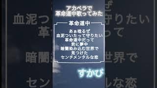 革命道中アカペラで歌ってみた！（すかび）