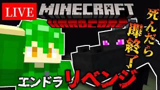 【#新人Vtuber】長時間のエンドラ討伐します  #minecraft