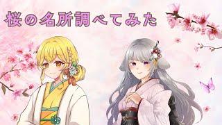 【立ち絵】桜の名所を調べてみた【わたあめらて】