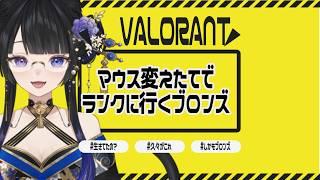 【#valorant  】ブロンズが行く指示コメ歓迎枠※聞くとは言ってない第2弾【#黒寝こま】