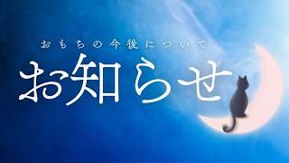 【お知らせ】おもちの今後について