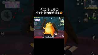 #荒野行動 #ペニンシュラ#ペット #犬