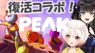 【#peak  】友情確認ゲームしようね？　w/深月そると【#vtuber /梓陽しろみ】