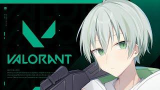 【VALORANT】企画の準備が終わらないからValorant【新人Vtuber/榎田れい】