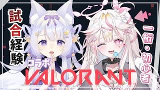 【 ＃VALORANT  】なんちゃってシルバーの宵が先生…！？なびたと初コラボ～！！【 宵霞ねむり / VTuber 】