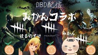 【 はるすけライブ】みかんとコラボ！！？DBDでみかん狩り！/蜜柑はるのすけ