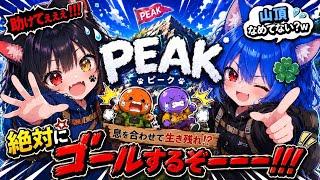 (PEAK)姉妹で山登り！前半