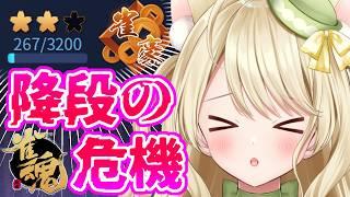 段位戦・背水の陣で雀力を発揮するのにゃ【雀魂】[第1265局]