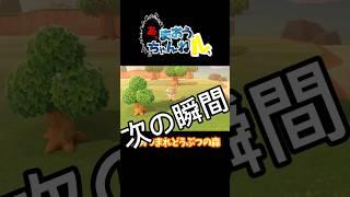 あつ森での我の宿敵と対決‼️結果は⁉️#あつ森 #あつ森初心者 #vtubers