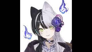 百瀬 / 個人勢VTuber のライブ配信