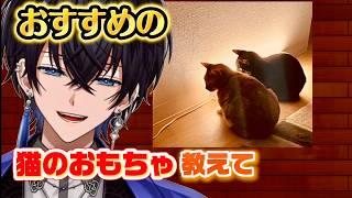 【⭐縦型雑談】おすすめの猫のおもちゃ教えて #shorts