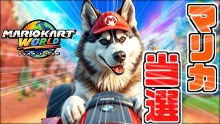 【任天堂に選ばれし者】新作で爆走する犬【vtuberもどき犬】