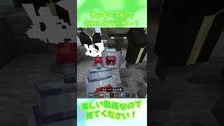 【マイクラアドオン】ラッキーTNTでホントにラッキー！