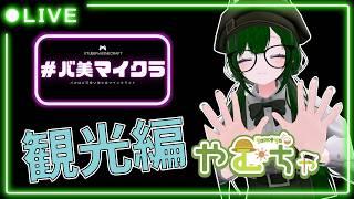 【Minecraft】バ美肉が集まるサーバーで　新参の私は何をしようか　【Vtuber】