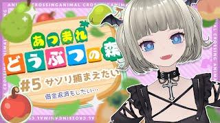 【#あつ森 】#5 サソリ捕まえたい！5日目【#ゲーム実況  #vtuber】
