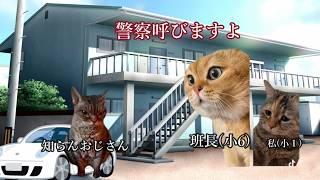 【猫ミーム 】誘拐されかけた話　#猫ミーム