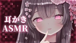 【ASMR/KU100】癒しの絶対安眠耳かきASMR🌸【荼楽庵みあび/ぶいカノ】