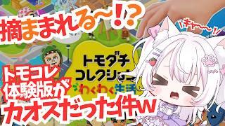 【#新作  #体験版 】トモコレ体験版がカオスだった件ｗｗｗ【＃１】
