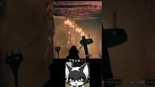 【悲報】「盾使うべきやった！！」ご機嫌で埋葬室に潜った猫、骸骨の群れに囲まれて無念の死ｗｗ【Valheim/切り抜き】 #大人初心者 #新人vtuber #steam